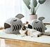 cat house