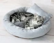 round pet bed