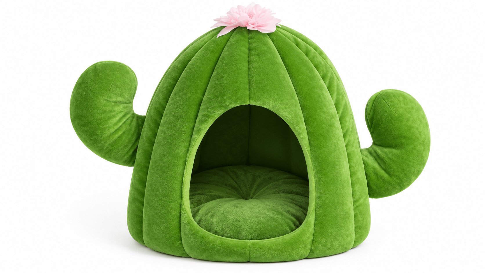 Cactus cat bed main visual