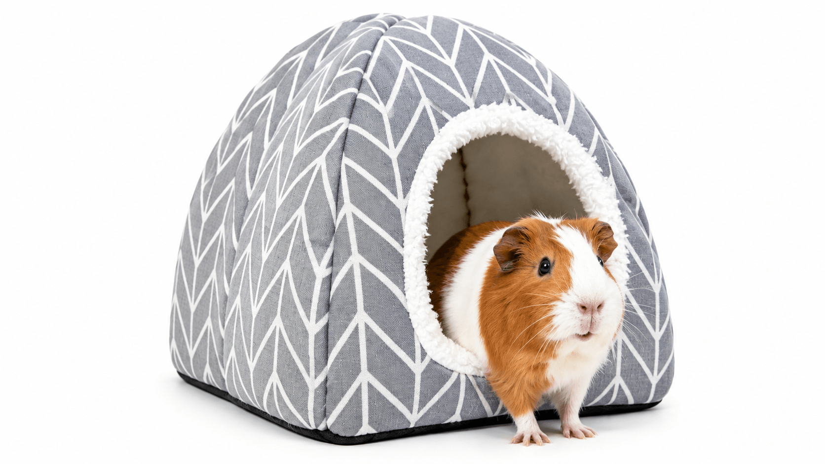 Kitten in geometric dome cat bed