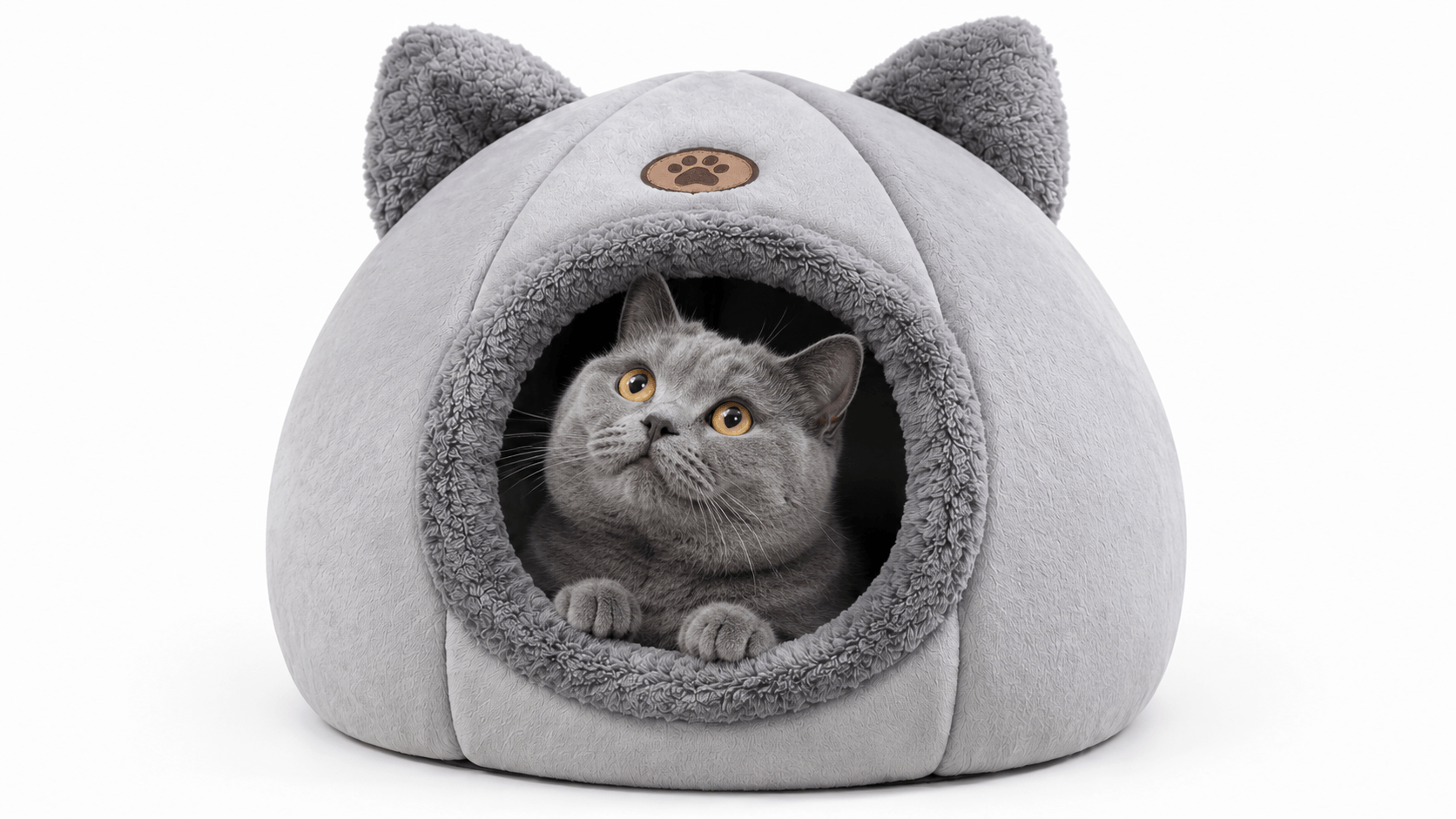 Blue cat inside cat ear cave bed