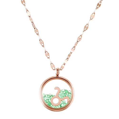 14k Dainty Gold Constellation Zodiac Coin Necklace