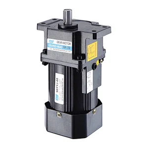 60W 90mm Micro AC Gear Motor