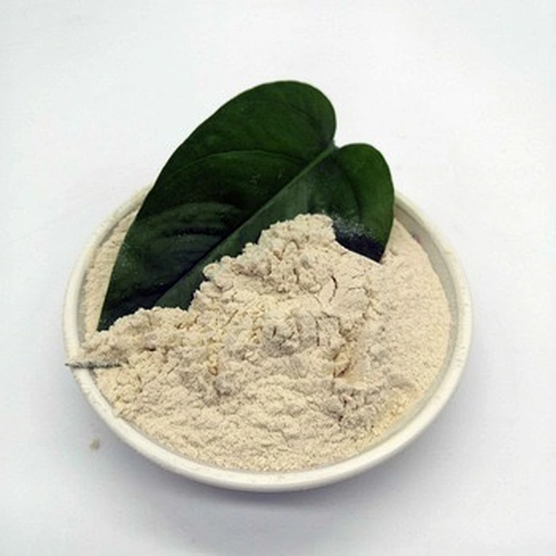 Organic Non Gmo Pea Protein