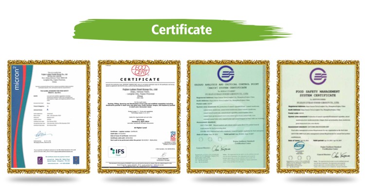 Canned Yellow Peach Slice/Canned Peach Halves