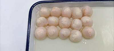 litchi canned