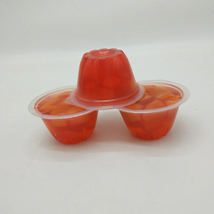 fruit pudding