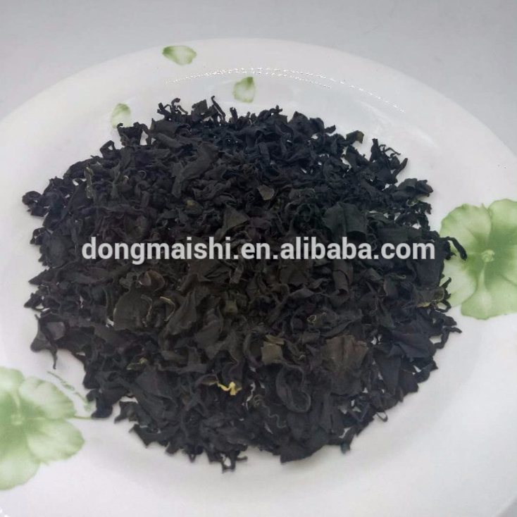 wakame