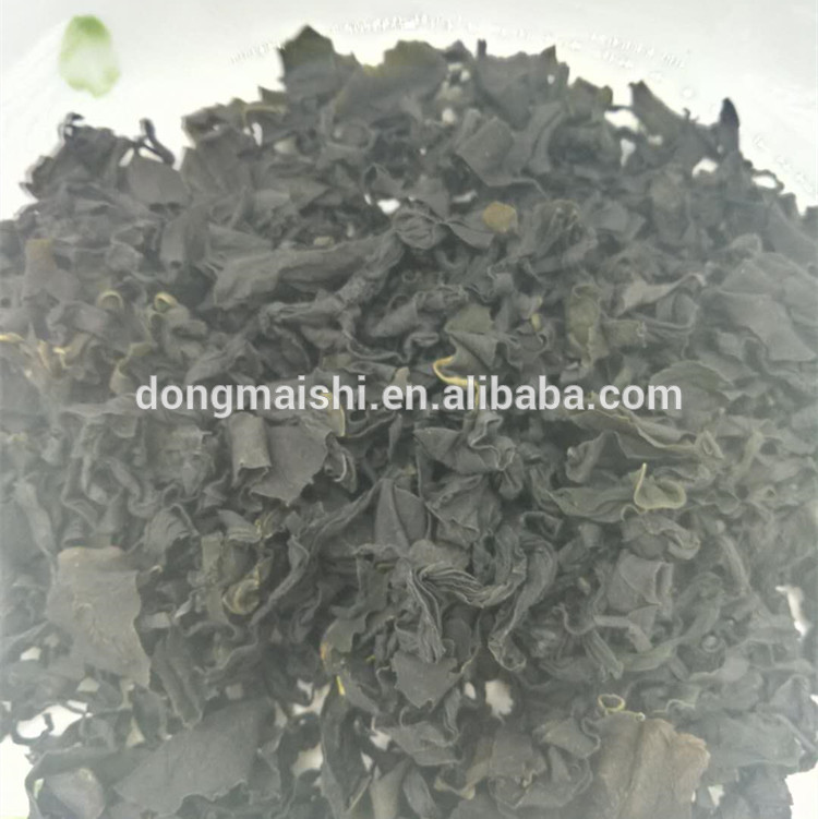wakame
