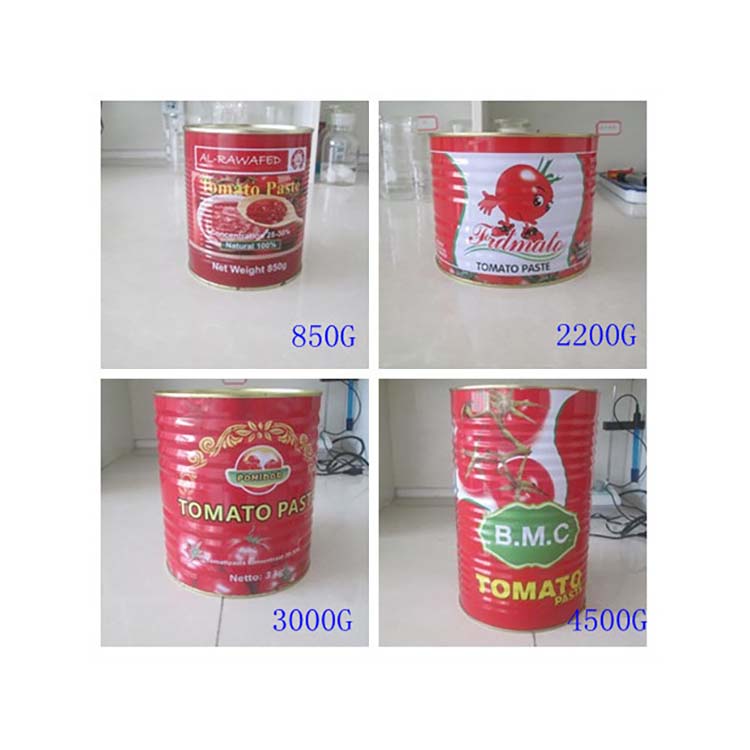 tomato paste can sizes
