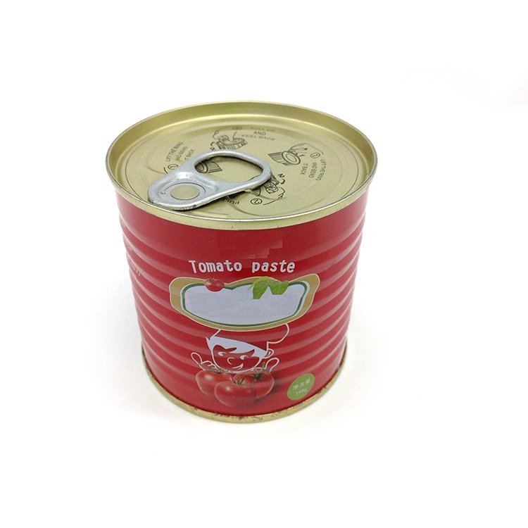 Canned Tomato Paste