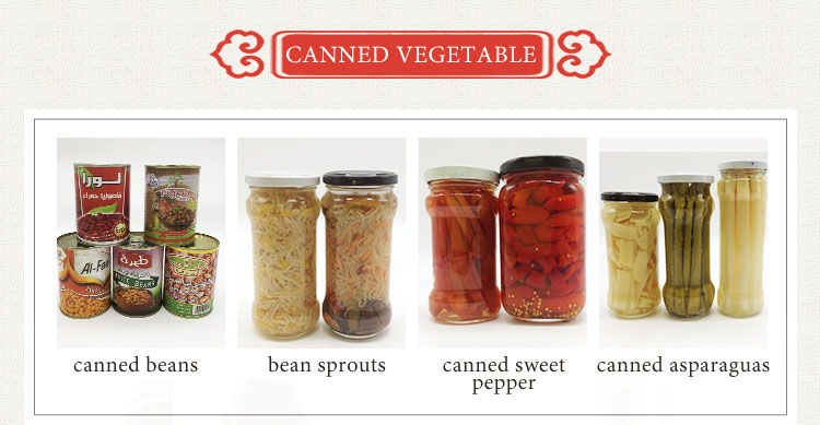 halal black bean sauce/Canned Baked Bean in tomato sauce