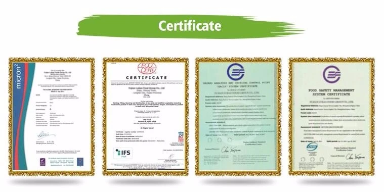 certification.jpg