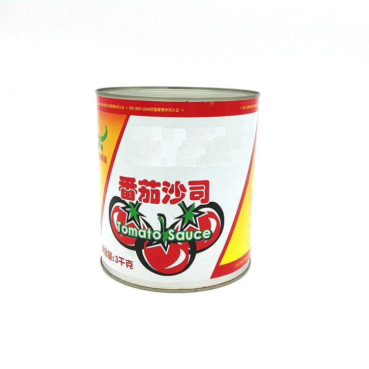tomato sauce ketchup