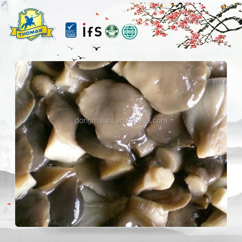 TCV010 (1)