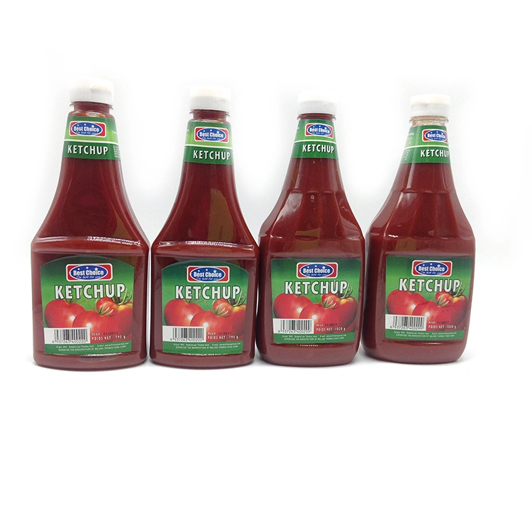 KETCHUP family 1.JPG
