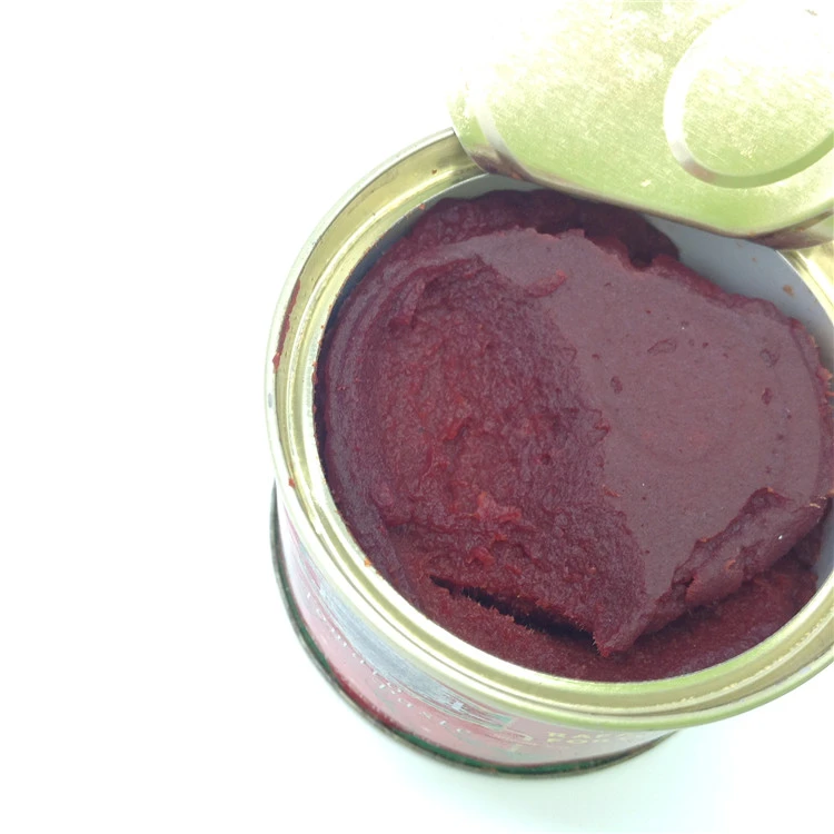 canned tomato paste