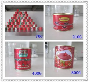 tomato paste