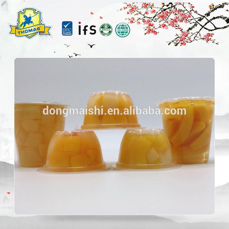 Canned Mixed Fruit
