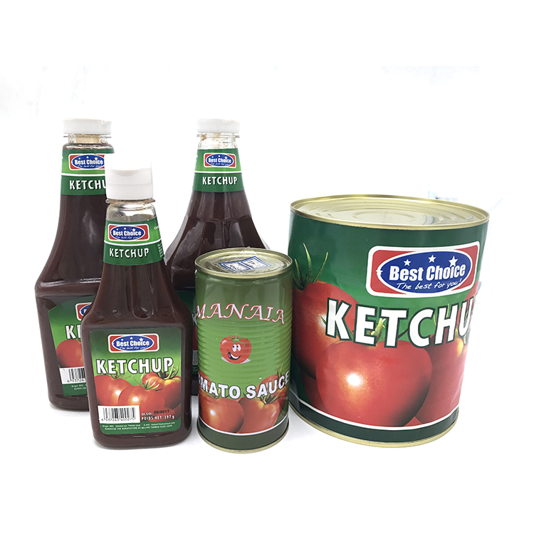 KETCHUP family (1).jpg