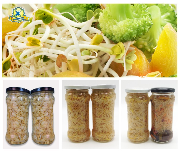 05.jpg