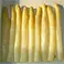 canned white asparagus