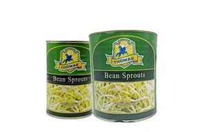 bean sprouts bean