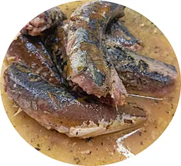 mackerel canned