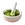 real wasabi powder