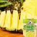 oem canned pineapple tidbits