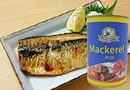 mackerel canned
