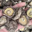 dried shiitake mushroom manufacturers
