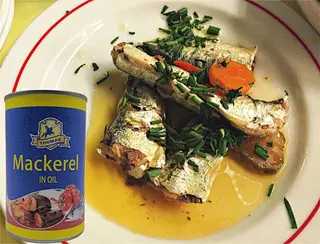mackerel canned