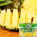canned pineapple tidbits