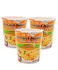 instant ramen noodle flavor