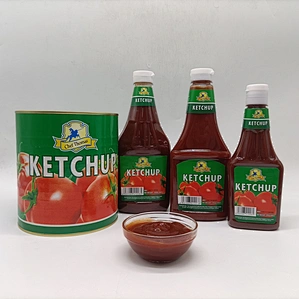 tomato ketchup tomato sauce