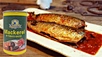 mackerel with tomato sauce