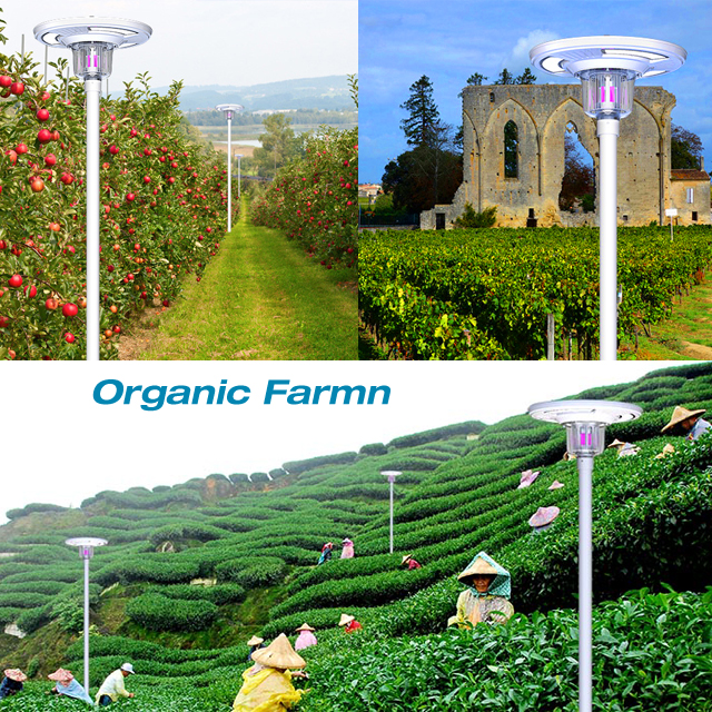 Outdoor Solar Powered street LED for farm park project 30w 40w integrated solar  insect mosquito killer lamp