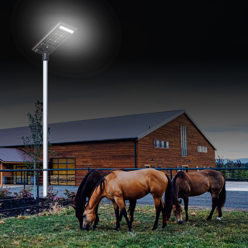 Remote Control Sensor Super Led Street Light with LIFEPO4 Battery