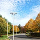 solar street light with pole