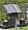 solar commemorative light