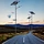 solar light street light
