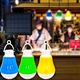 solar bulb lights garden