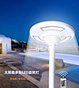Outdoor Public Luminaire