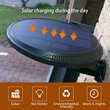 solar garden pir light