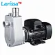 Chemical pump