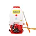 Gasoline engine  spray