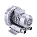 Vortex pump