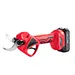 pruning shears