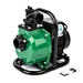 Remote control water pump